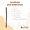 \фото\79124 2.jpg