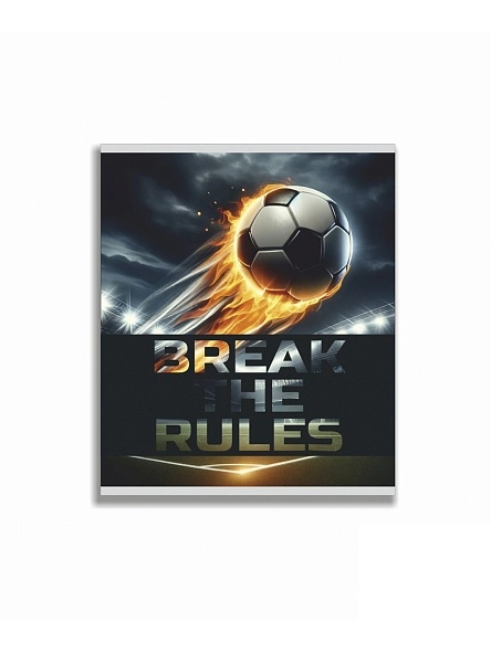 Тетрадь общая (скоба), ф.170х205мм, клетка, 48л., 4+0, СЛ
з.№1155-24, серия Сталкер/Футбол