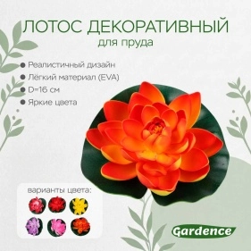Лотос декоративный для пруда, d=16 см, в асс-те