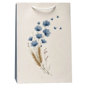 Пакет подарочный "Спадчына", Fun Party, 26*32*10 см (XNYS-004)