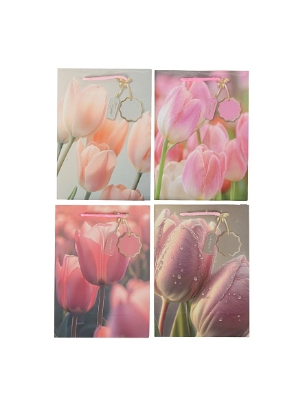 Пакет подарочный "Tulips", 17,5*24*8 см (VA-781)