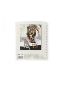 \фото\81162 (3).jpg