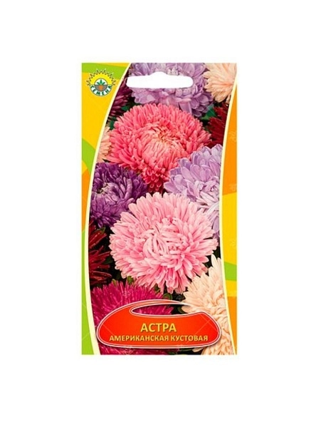 Астра Американская кустовая 0,2г