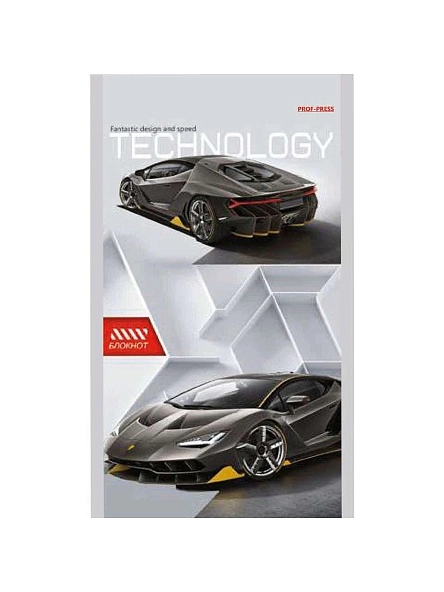 БЛОКНОТ А6 24л. в асс-те, на скрепке, цвет.мелов.обл, блок-офсет ПХ, Б24-7338