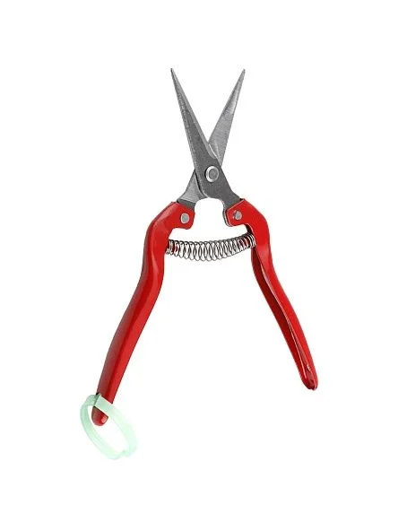 \фото\71243       (1).jpg