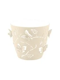 \фото\122025 2.jpg