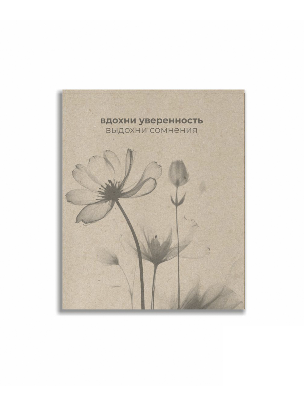 Тетрадь общая (скоба), ф.170х205мм, крафт, клетка, 96л., 1+0
з.№1161-24, серия Вдохни и выдохни