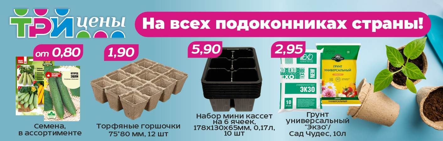 На всех подоконниках страны!