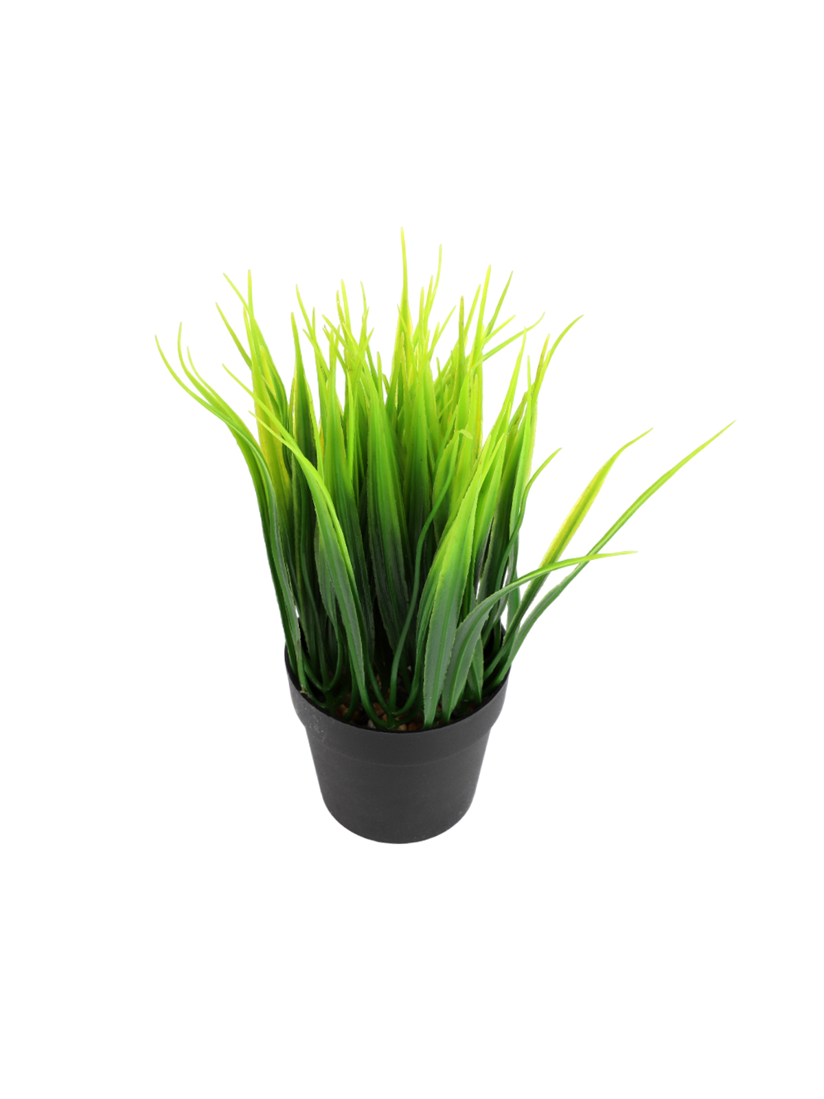 Цветок декоративный в горшке "Grass", 20 см