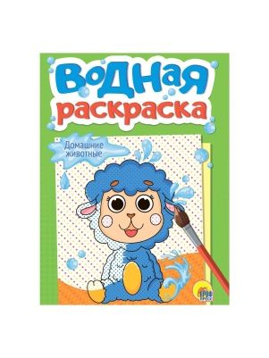 ВОДНАЯ РАСКРАСКА А5 в ассортименте