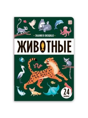 Знания в окошках. В ассортименте